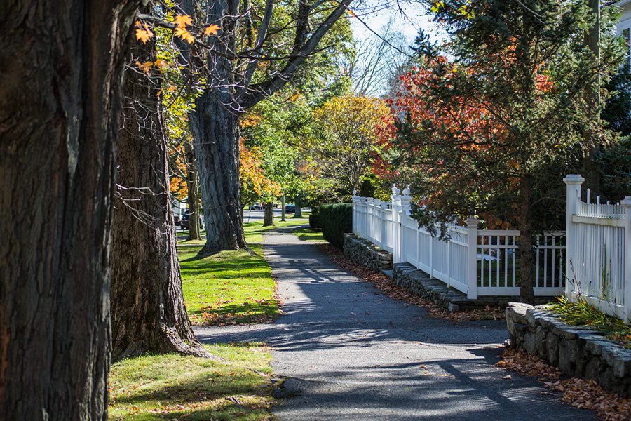 Cheshire, CT - Tree Covered Walkway Through Small Town in Connecticut